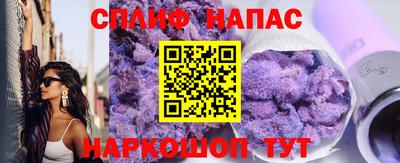гидра Ставрополь