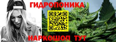 гидра Ставрополь