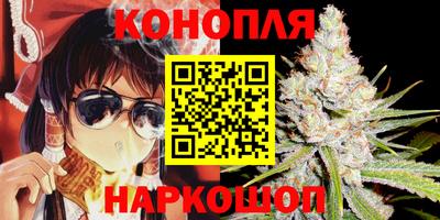 гидра Ставрополь