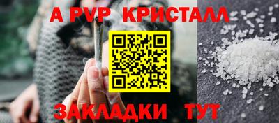 гидра Ставрополь