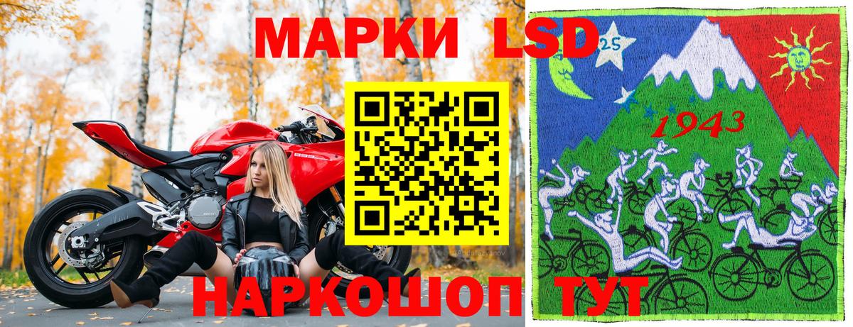 где купить наркотик  Наркотические марки 1,5мг  Вход с VPN  Магадан 