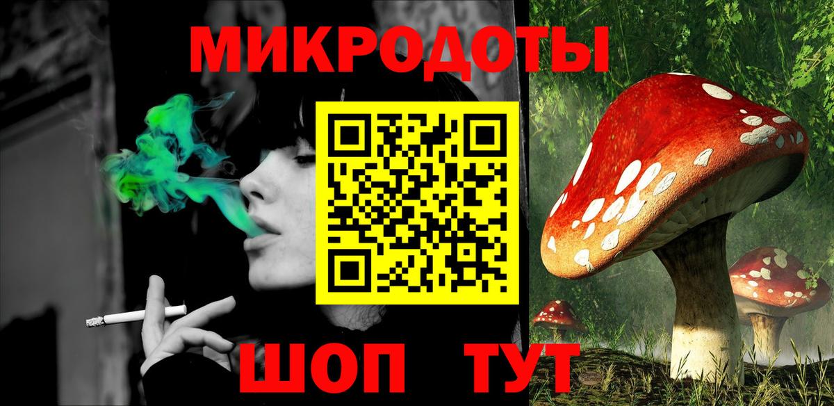 Галлюциногенные грибы Psilocybe Магадан